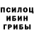Псилоцибиновые грибы Cubensis Maksym Z