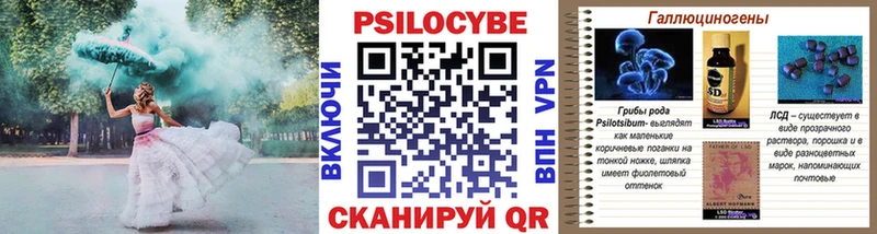 Галлюциногенные грибы MAGIC MUSHROOMS  Красный Холм 